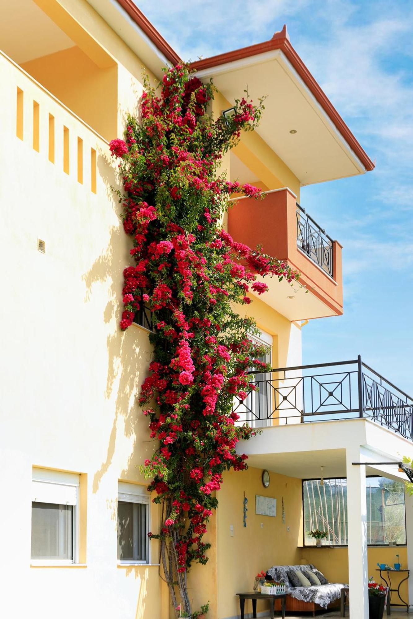 Ventus E Paradiso Villa Nikiti Halkidiki Eksteriør bilde